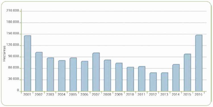 Serie histrica de rea con coca a 31 de Diciembre, 2001 - 2016