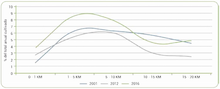 Distribucin de cultivos de coca segn distancia a una frontera, 2001 - 2012 - 2016