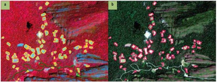 nterpretacin visual. Lotes de coca visualmente interpretados en imgenes Sentinel-2